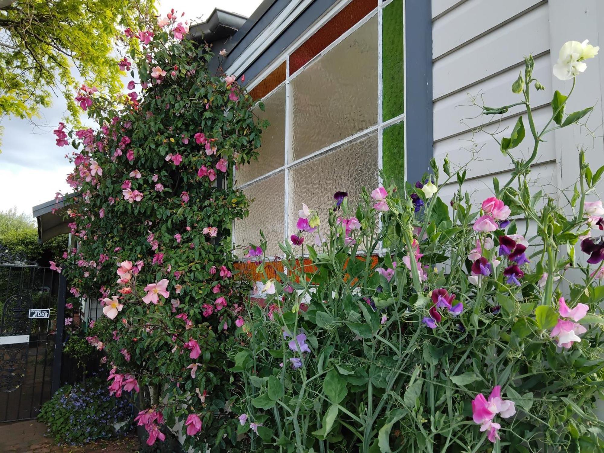 Guthrie Cottage แฮฟล็อค นอร์ท ภายนอก รูปภาพ
